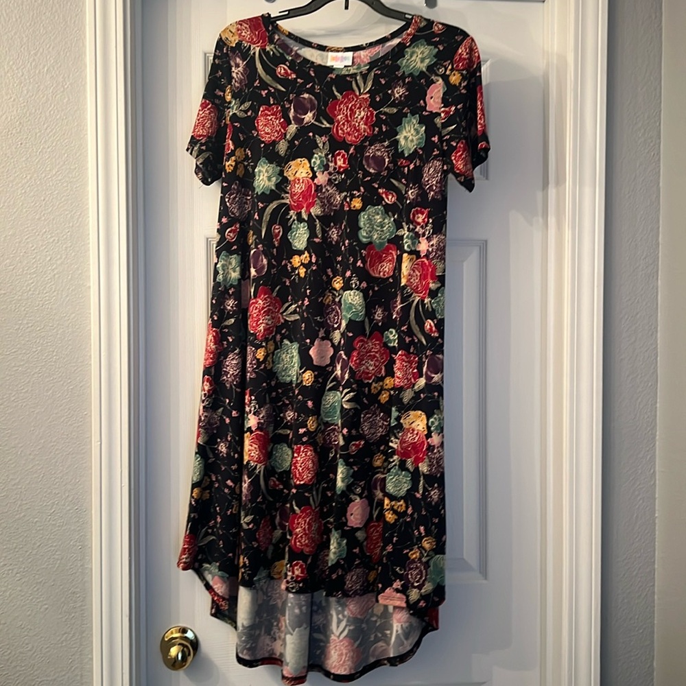 Lularoe Carley -XS